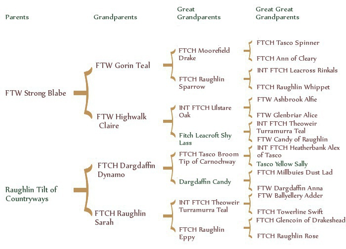 deltapedigree