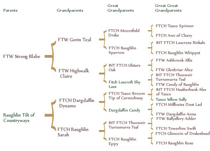 deltapedigree