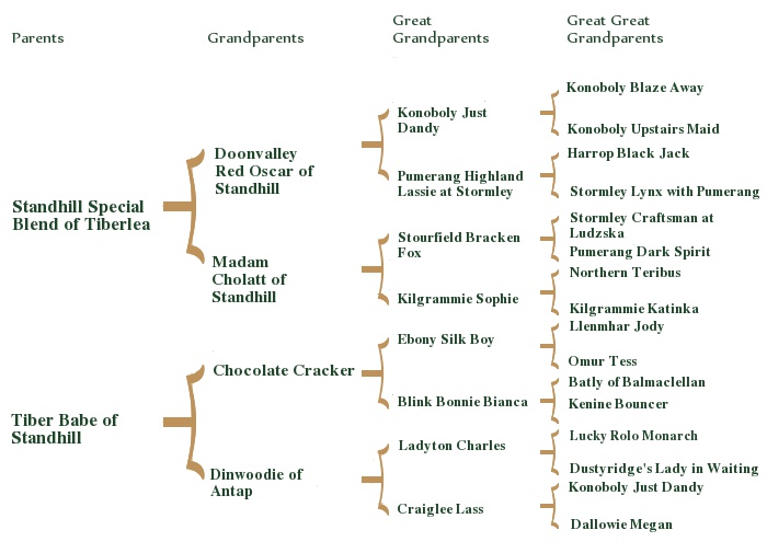 roxypedigree